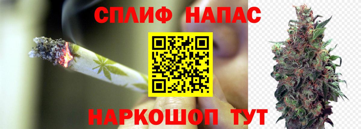 Каннабис гибрид  Вход с VPN  Шишки марихуана VHQ  Бошки марихуана Bruce Banner  Тверь  Бошки марихуана марихуана 